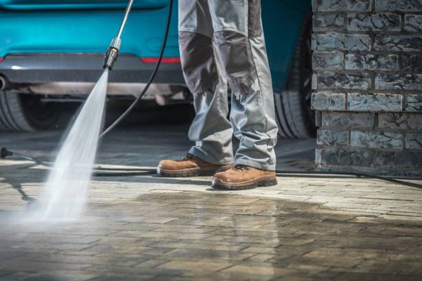 Best Roof Cleaning and Mildew Removal in North Hills, NY